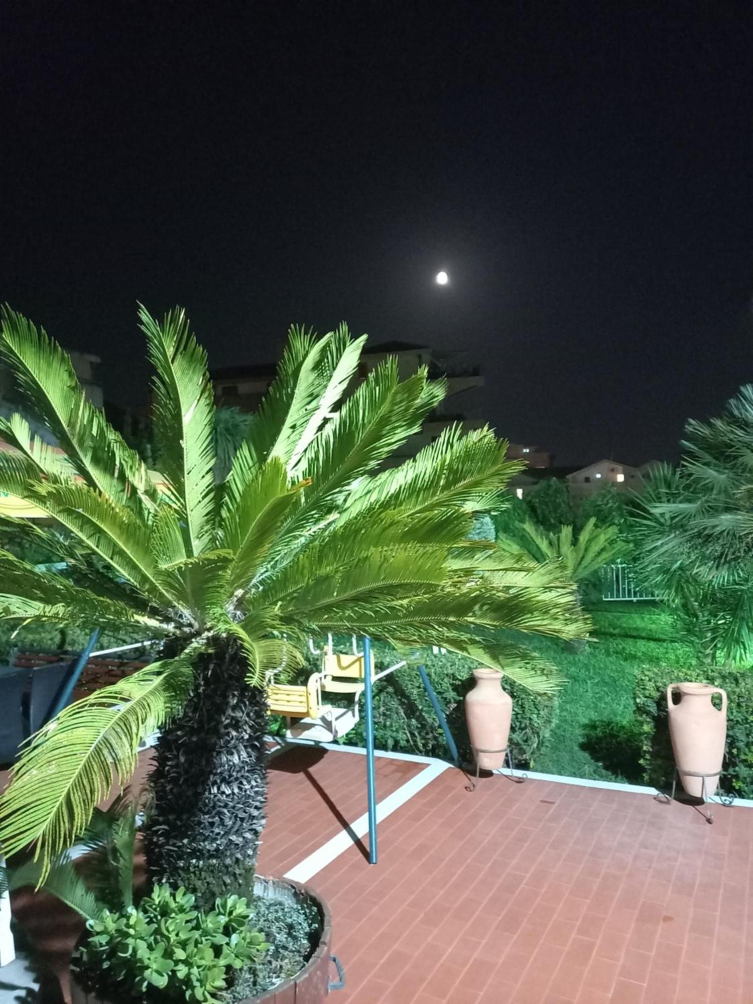 Vila L Budva Hotel Bagian luar foto